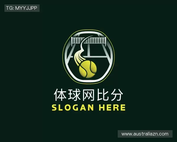 了解体球网比分